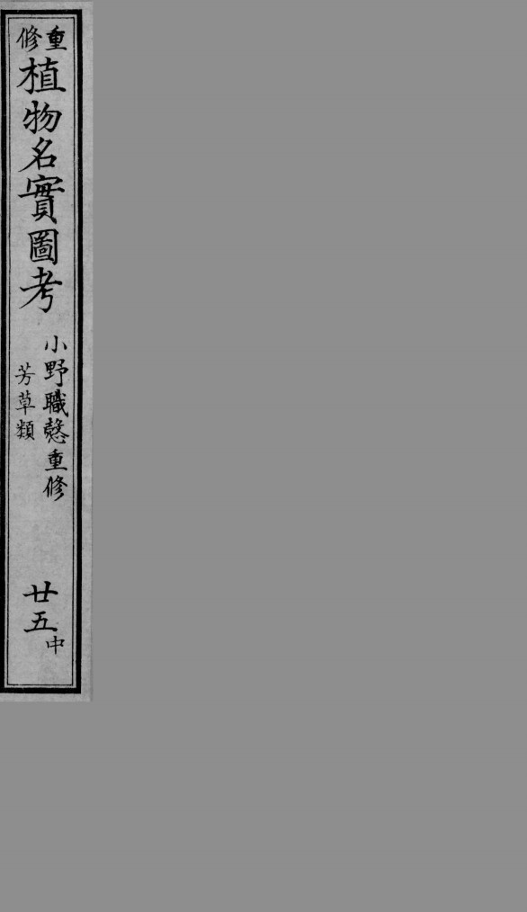 植物名实图考  25  中
